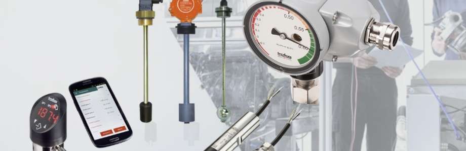 A technological authority that has, for decades, defined the boundary between mere measurement and absolute process safety