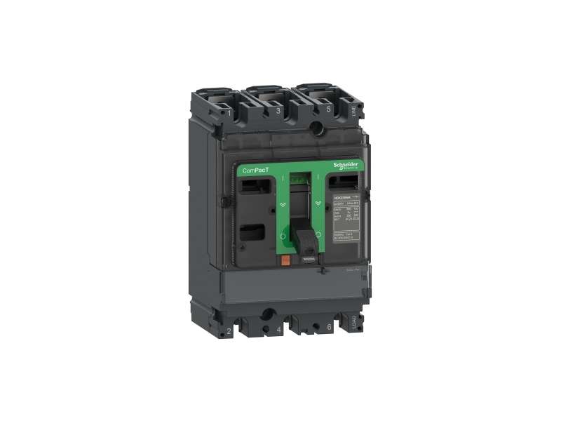 Schneider Electric Switch disconnector, ComPacT NSX100NA, 2 poles, thermal current Ith 100A;C102100S